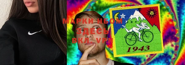 стафф Новозыбков