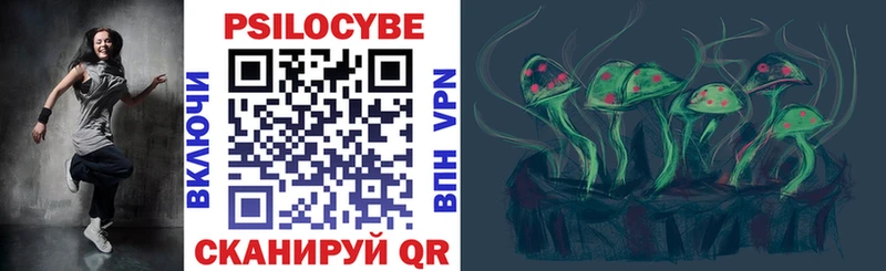 Галлюциногенные грибы мицелий где купить наркоту blacksprut зеркало Курганинск