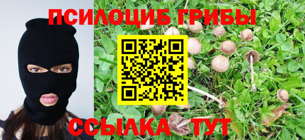 Галлюциногенные грибы Cubensis Курганинск